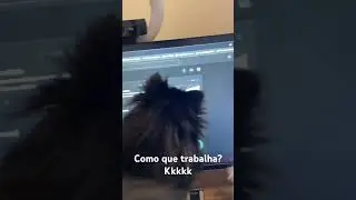 Como que trabalha assim? Kkk