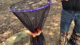 Safely Handle Snakes with the Snake Catcher Net! 🐍 | Ultimate Snake Handling Tool