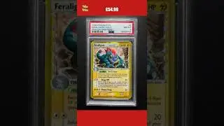 Feraligatr 2/101 Delta Species PSA 8 EX Dragon Frontiers vintage Pokemon Card
