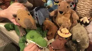 The stuffy Gang get together Interview with the capybara￼