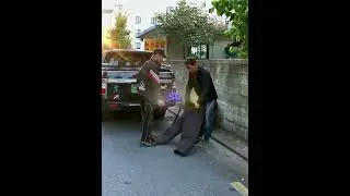Самая лучшая команда спасателей на свете 🥰🐶 #доброта #доброта