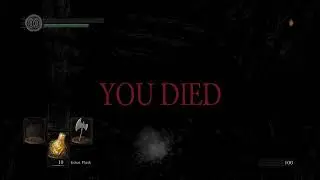 When you're a Dark Souls veteran