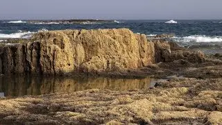 Tracing Arcs | Sheep & Tides (Lunar Ebb Tide Mix)