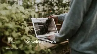 How to go Freelance | Knowledge Drop