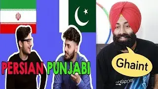 Indian Reaction on Language Challenge Punjabi Vs Persian Ft. PunjabiReel TV