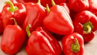 RED CAPSICUM  (Bell Pepper) | Nutrition Profile & Health Benefits