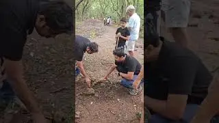 Grow Green, Go Green 🪴🌱#TreePlantation #GoGreen #EnvironmentMatters #SustainableLiving