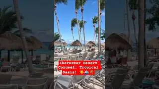 Iberostar Cozumel Resort Day Pass Paradise! Swim & Relax 🌴☀️