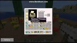 Minecraft Forestry Mod: Beekeeping Tutorial: Part 2, Getting Bees and Starting Apiaries