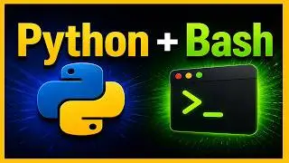 Run Python Scripts with Bash on macOS (Beginner Guide)