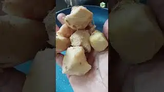 Ginger jaggery candy | Perfect home remedy for cough #shorts #ginger #jaggery #candy #classicraft