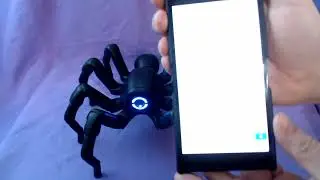 Robugtix T8X how to connect (192.168.1.1)