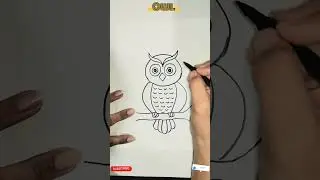 🦉 How to Draw a Cute Owl &ndash; Easy Step‑by‑Step Tutorial for Kids  #OwlDrawing #DrawingForKids