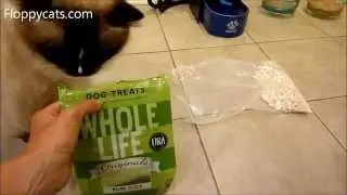 Whole Life Pet Freeze Dried Duck Breast Treats Product Review - ねこ - ラグドール - Floppycats