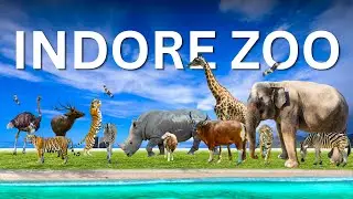 Indore Zoo 2026: The Most Detailed 4K Guide Ever! (Everything Covered) 🦁 || Food & Tickets