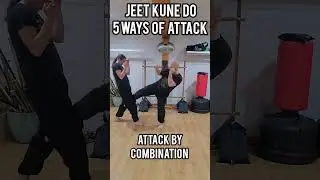 5 ways of Attack with the Jab - Jeet Kune Do