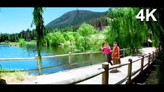Madhuri Dixit & Rishi Kapoor Superhit Songs | Lakshmikant - Pyarelal | Prem Granth Movie Jukebox