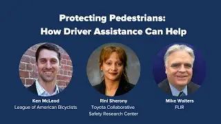 PAVE's Virtual Panel 