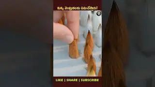Hubei Brush: Made From Dog Hair Using Ancient Skills! 😱 #ytshorts #viral #facts