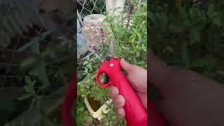 electric scissors easy use save time #tool P6629