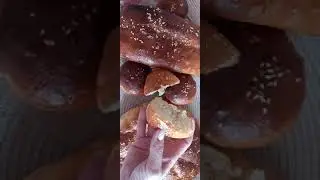 ХЛЕБ ИЗ ЧАЙНОГО ГРИБА (КАМБУЧИ)