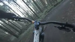 Terry’s Belly – Mid Section | Bike Park Wales 🌲