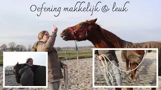 makkelijke oefeningen voor jou en je paard | vrije galop