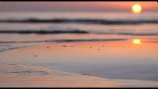 Questo suono del mare ti farà rilassare subito