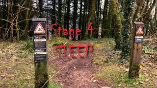 Afan - Bike Park & Stage 4 (S4)