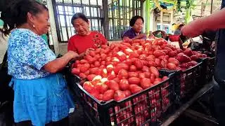 Comprando en el mercado de Belen zona 7 de Mixco Guatemala 