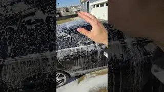 Detailing Tip: Why Use the Two-Bucket Method?