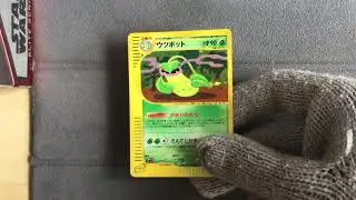 Victreebel 011/087 Holo - Pokemon Wind from the Sea
