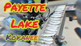 Kokanee fishing (trolling) on Payette Lake, Idaho