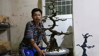 Làm Thân Cây Bon Sai Giả Giống Y Như Thật.KEN MY VLOG #169