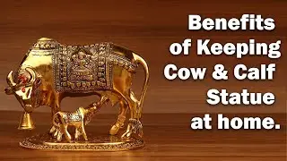 Vastu Benefits of Keeping Cow & Calf Statue at Home | Cow-Calf Statue for prosperity