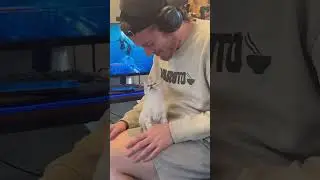 Precious Kitten Insists on More Kisses