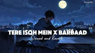 Tere Ishq Mein X Barbaad Mashup slowed and reverb by @Musickn2026 #lofi #lofimusic #songs 