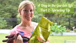 A Day in the Garden Life Part 2: Sprucing Up