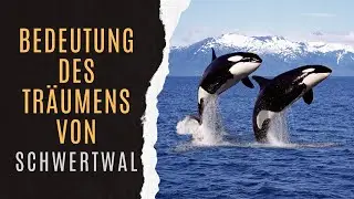 Symbolik Von Schwertwal | Schwertwal Bedeutung | Traumlexikon Schwertwal