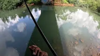 Goa best fishing spots 