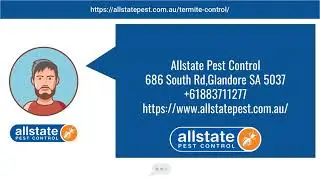 Termite Control Near North Adelaide