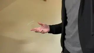 Begleri, Knuckleroller Hybrids getting started tutorial
