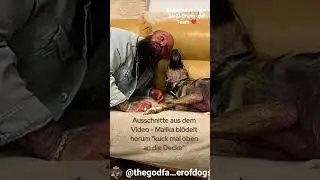F&uuml;r Bruno Jelovic und sein Team 💪🏼💪🏼❤️&zwj;🩹❤️&zwj;🩹 #savethedogs - M&auml;nner und Frauen die soviel geben.