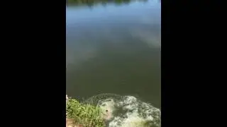 Olathe Lake Cliff Jump