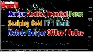 Accurate Forex Scalping Technical Analysis Course Using 4 Indicators