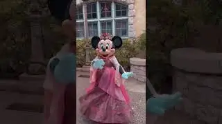 Princess Minnie #disney #disneyparks #wdw #minnie #princess #PrincessMinnie #fyp
