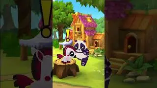 Leo tags every pet in Dash tag.