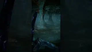 Skyrim. TES V. Meeting with Frostbite Spider.
