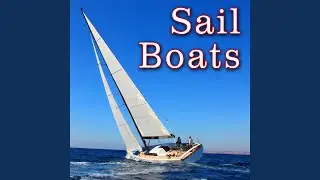 Three Masted Schooner, On Board: Lower Sail 4
