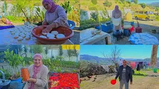 احضار صلصت الفلفل بطماطم مع ورقة البسطيلة في جبال الريف👌